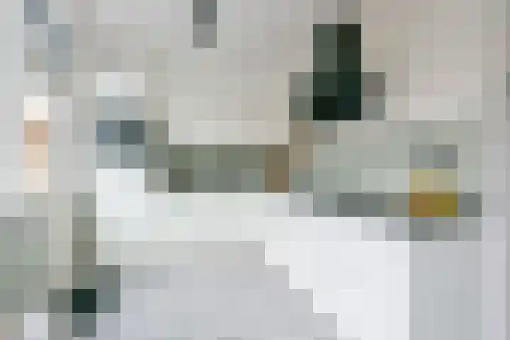 Het Veer 21 Avenhorn thumbnail 5