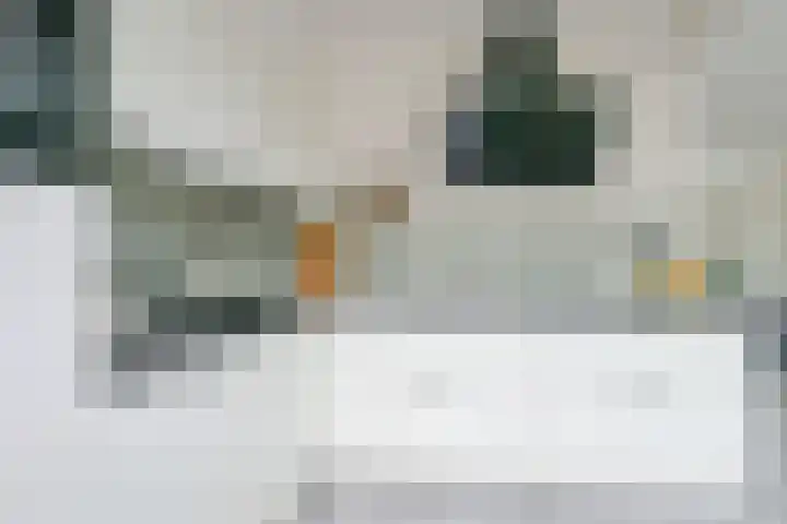 Het Veer 21 Avenhorn thumbnail 6