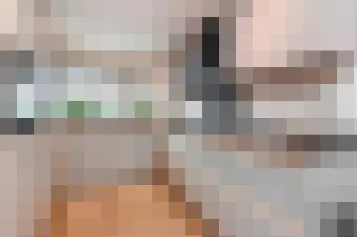 Het Veld 5 Monster thumbnail 13