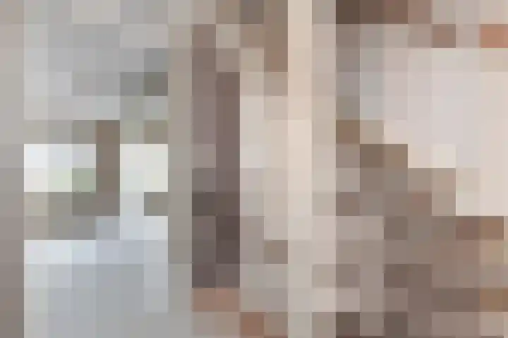 Het Veld 5 Monster thumbnail 18