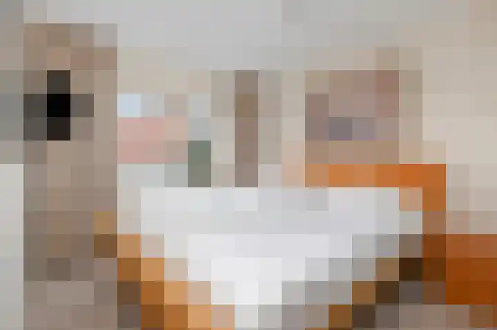 Het Veld 5 Monster thumbnail 19
