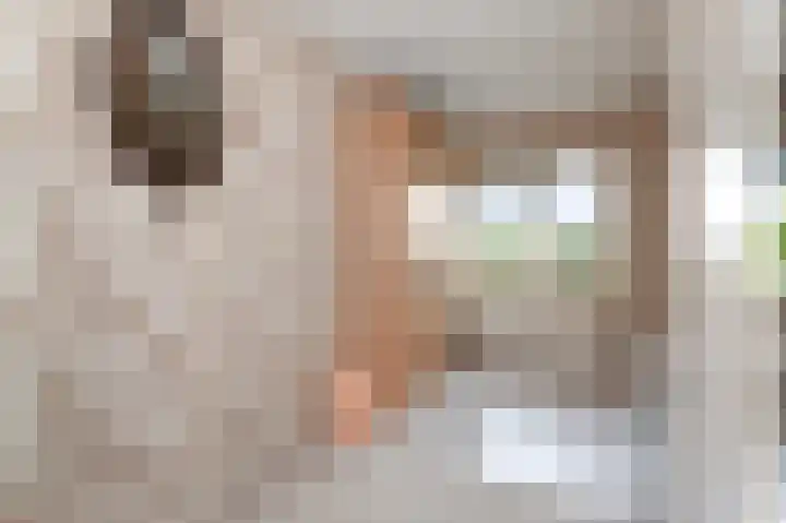 Het Veld 5 Monster thumbnail 24