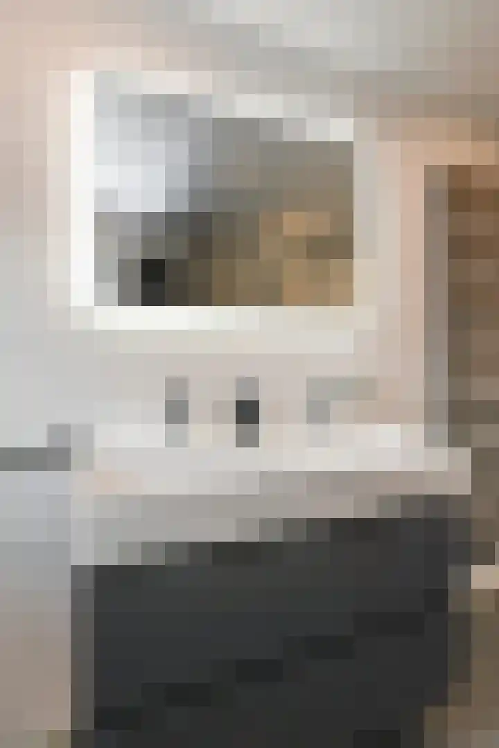 Het Veld 5 Monster thumbnail 27