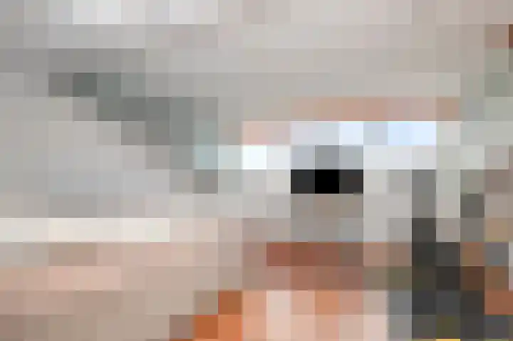 Het Veld 5 Monster thumbnail 30