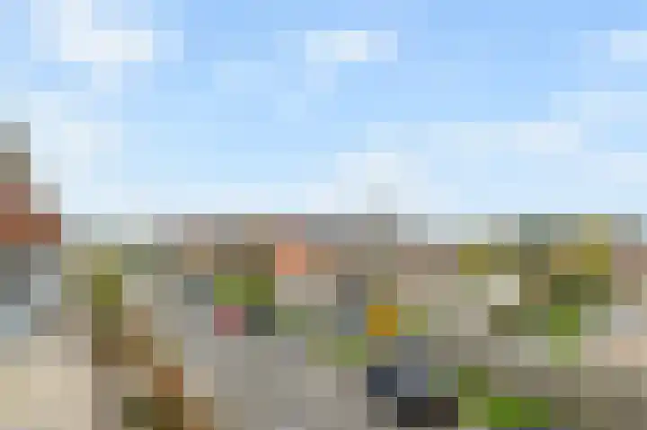 Het Veld 5 Monster thumbnail 34