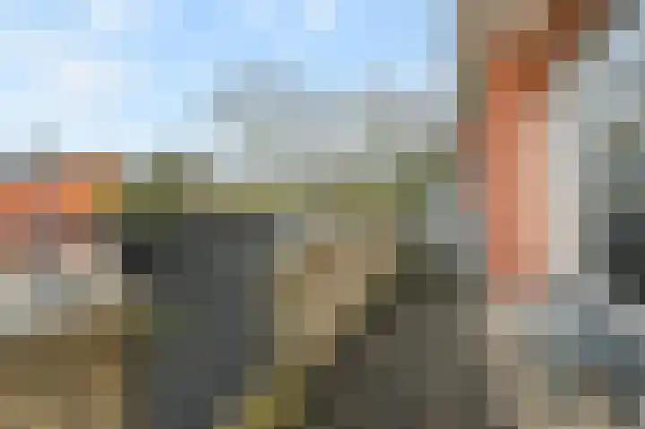 Het Veld 5 Monster thumbnail 35
