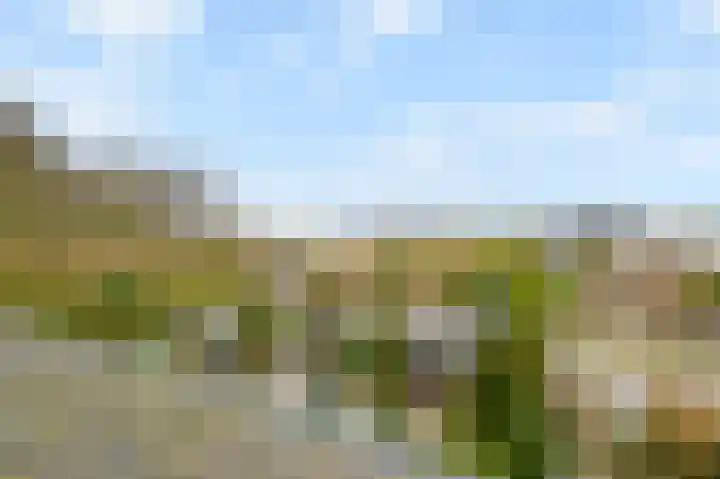 Het Veld 5 Monster thumbnail 36