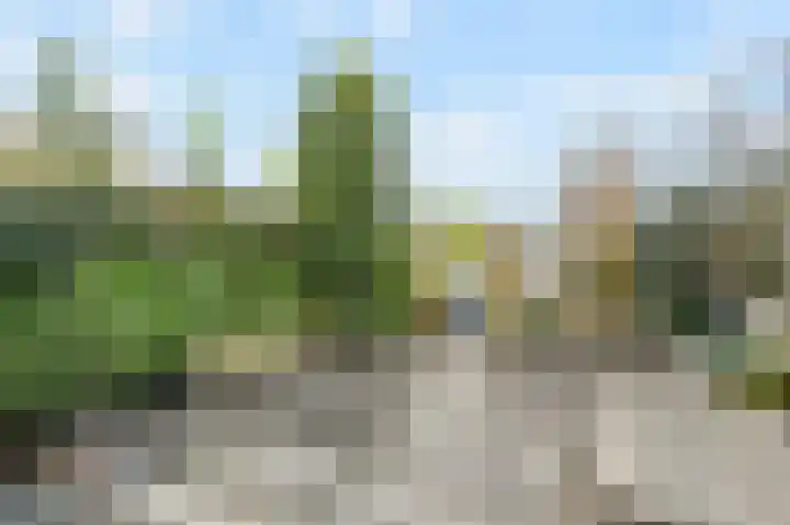 Het Veld 5 Monster thumbnail 38
