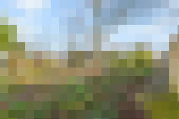 Het Veld 5 Monster thumbnail 40