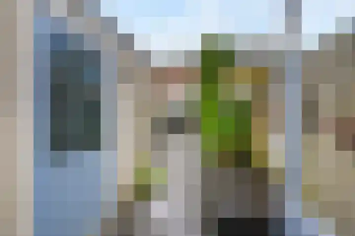 Het Veld 5 Monster thumbnail 41