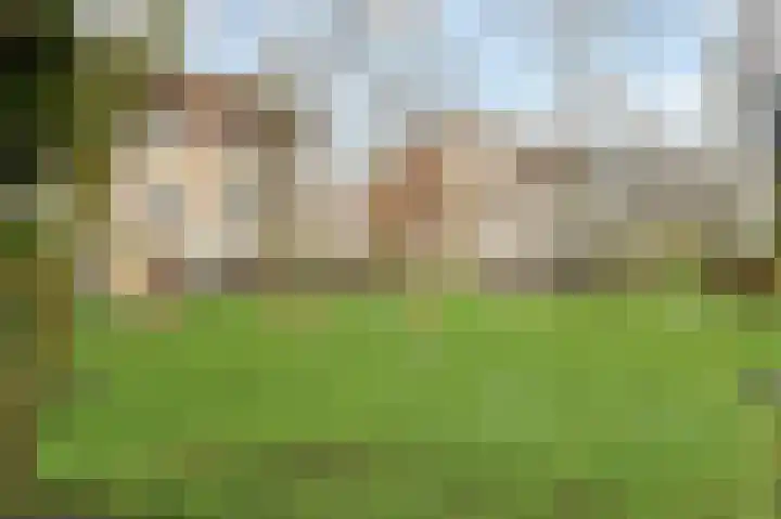 Het Veld 5 Monster thumbnail 43