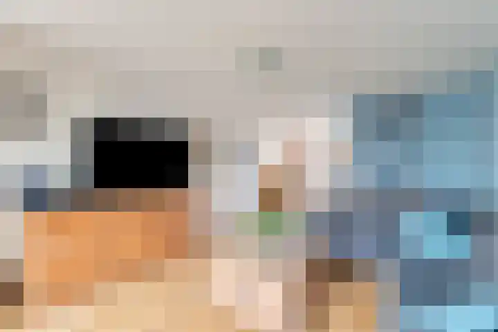 Het Veldje 105 Horst thumbnail 17