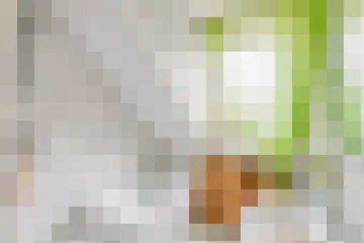 Het Veldje 105 Horst thumbnail 30