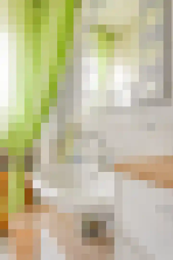 Het Veldje 105 Horst thumbnail 31