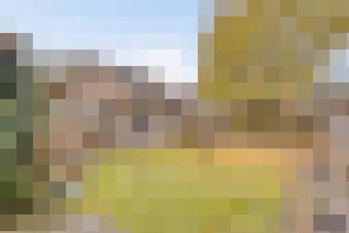 Het Veldje 105 Horst thumbnail 36