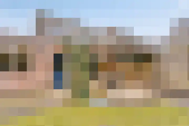 Het Veldje 105 Horst thumbnail 37