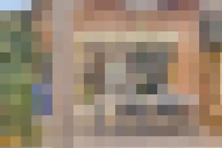 Het Veldje 105 Horst thumbnail 39