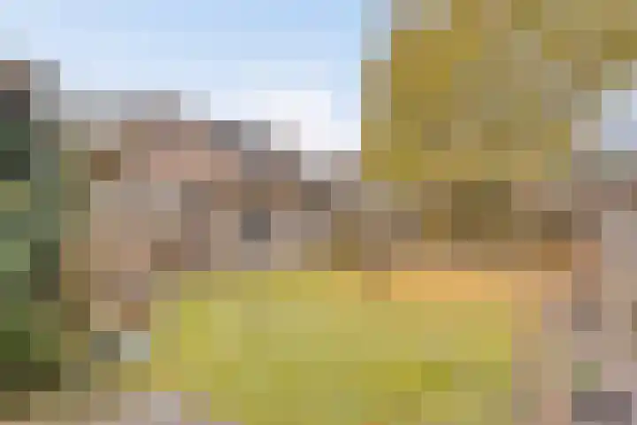 Het Veldje 105 Horst thumbnail 4