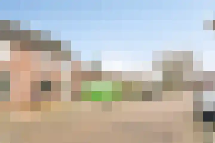 Het Veldje 105 Horst thumbnail 7