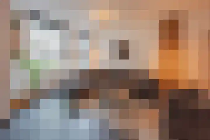 Het Veldje 129 Horst thumbnail 12