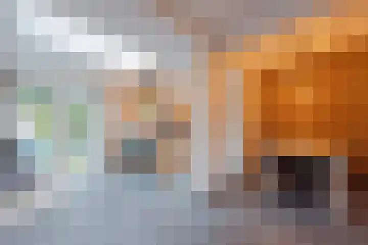 Het Veldje 129 Horst thumbnail 14