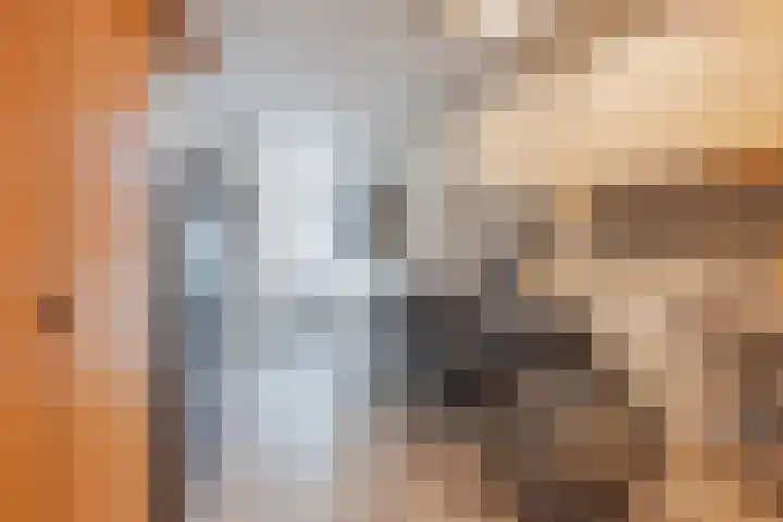 Het Veldje 129 Horst thumbnail 22