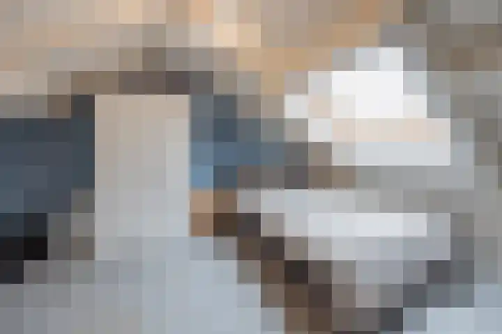 Het Veldje 129 Horst thumbnail 35