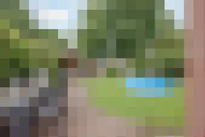 Het Veldje 129 Horst thumbnail 39