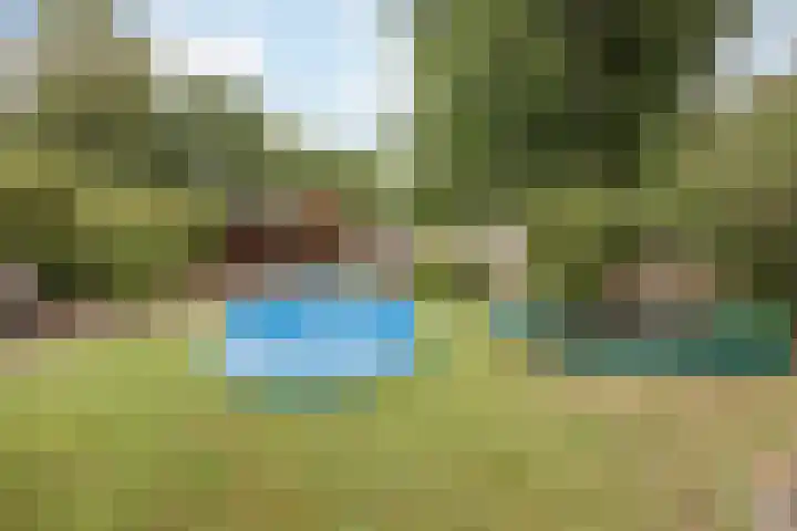 Het Veldje 129 Horst thumbnail 40