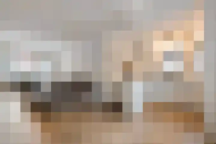 Het Vledder 30 Meppel thumbnail 7