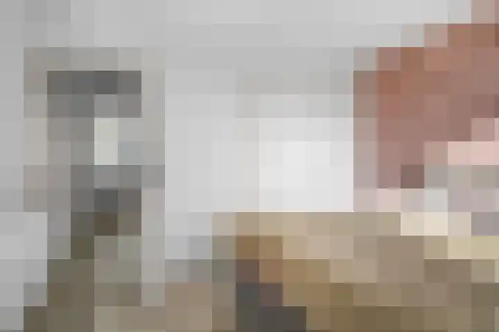 Het Vlier 118 Deventer thumbnail 14