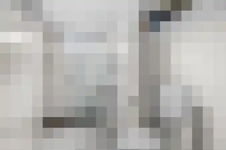 Het Vlier 118 Deventer thumbnail 20