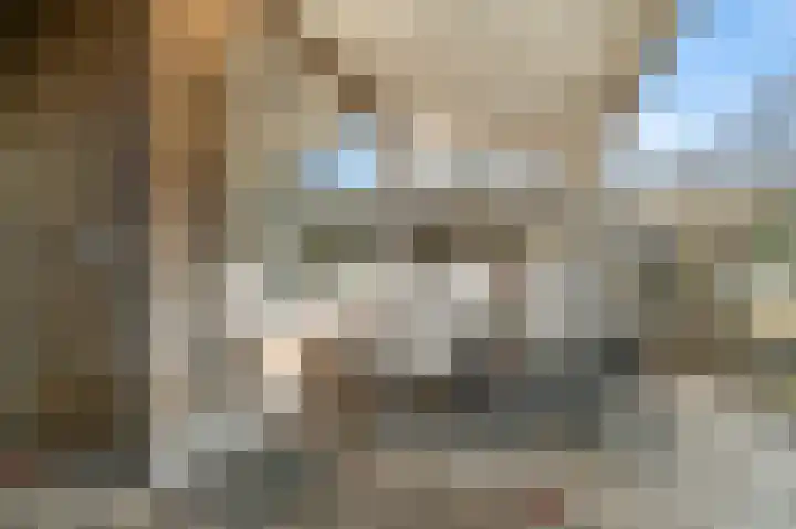 Het Vlier 118 Deventer thumbnail 26