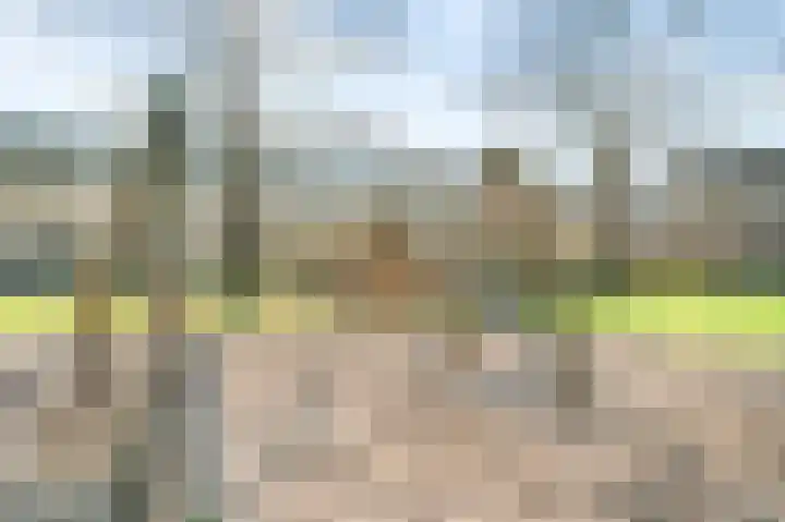 Het Vlier 118 Deventer thumbnail 33