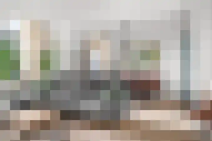Het Vlier 118 Deventer thumbnail 5