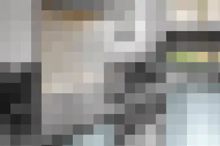 Het Vlier 118 Deventer thumbnail 9