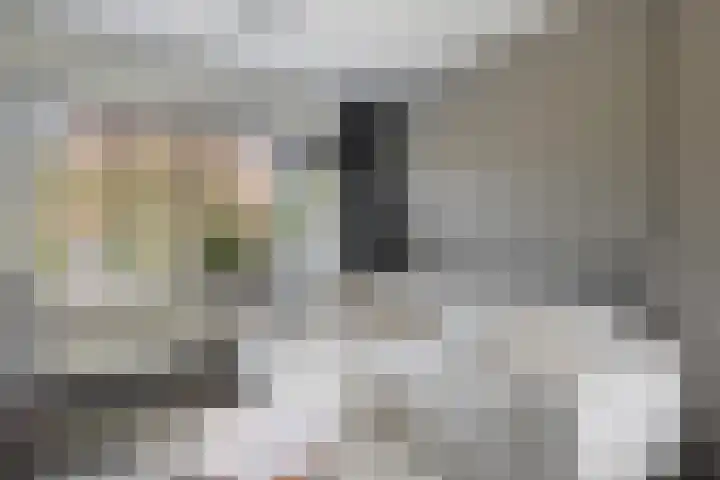 Het Vliet 19 Drachten thumbnail 18