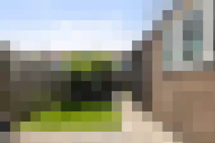 Het Vliet 19 Drachten thumbnail 39