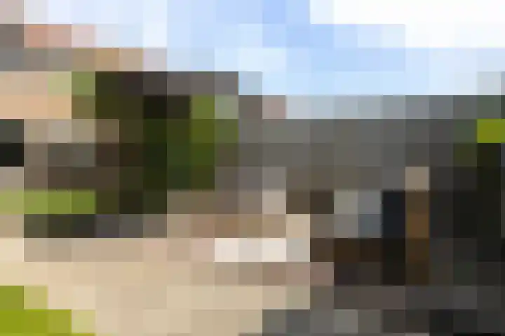 Het Vliet 19 Drachten thumbnail 41