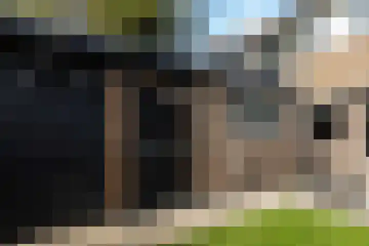 Het Vliet 19 Drachten thumbnail 44