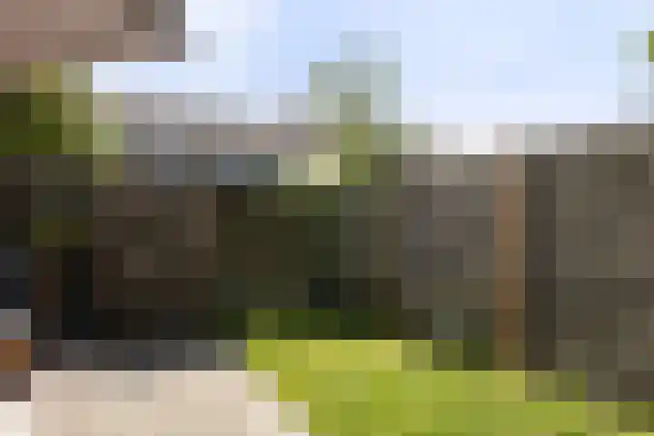 Het Vliet 19 Drachten thumbnail 45