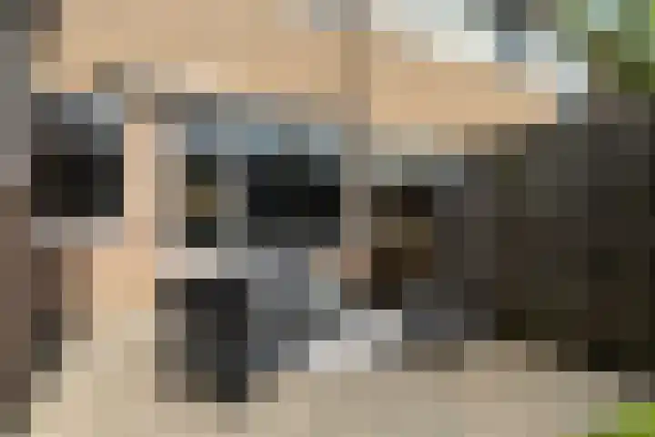 Het Vliet 19 Drachten thumbnail 46