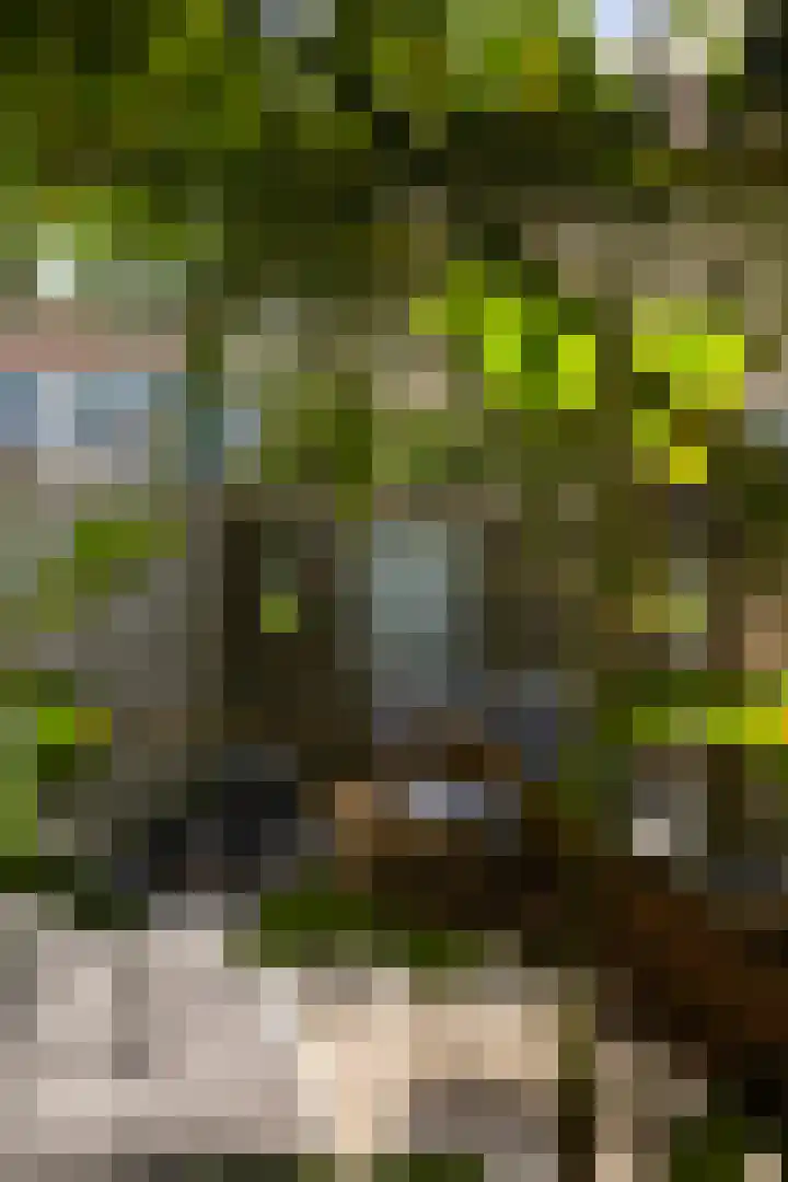 Het Vliet 19 Drachten thumbnail 47