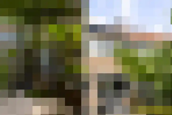 Het Vliet 19 Drachten thumbnail 49