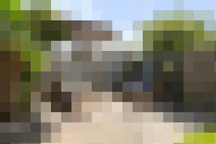 Het Vliet 19 Drachten thumbnail 5