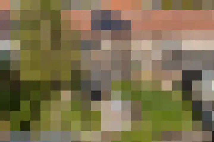 Het Vliet 19 Drachten thumbnail 53