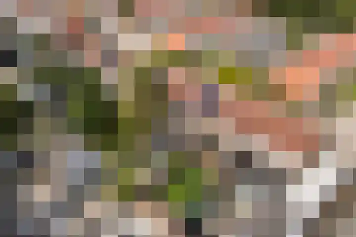 Het Vliet 19 Drachten thumbnail 54