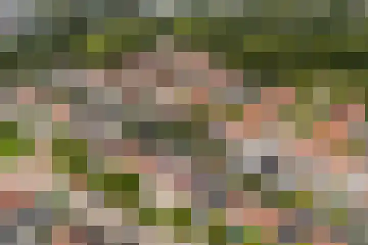 Het Vliet 19 Drachten thumbnail 6