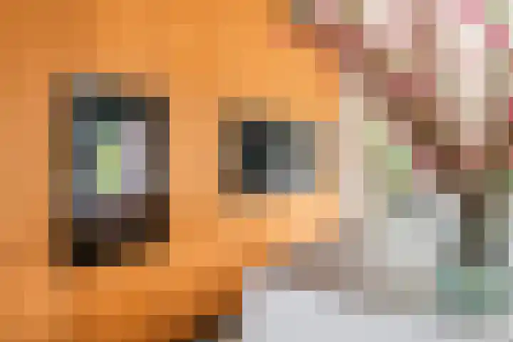 Het Voorburg 2 Culemborg thumbnail 23