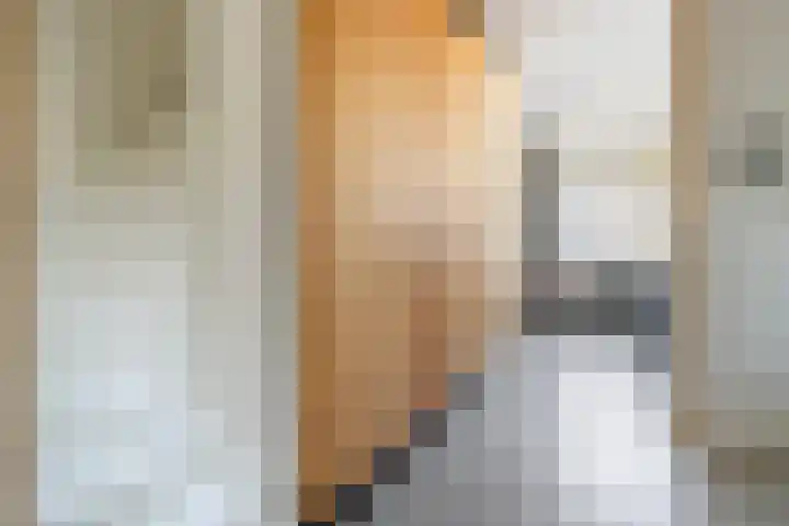 Het Voorburg 2 Culemborg thumbnail 29